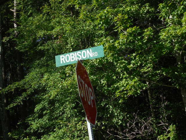Robison Road Finger, TN 38334 - Photo 9 of 9 Gallery Image 9