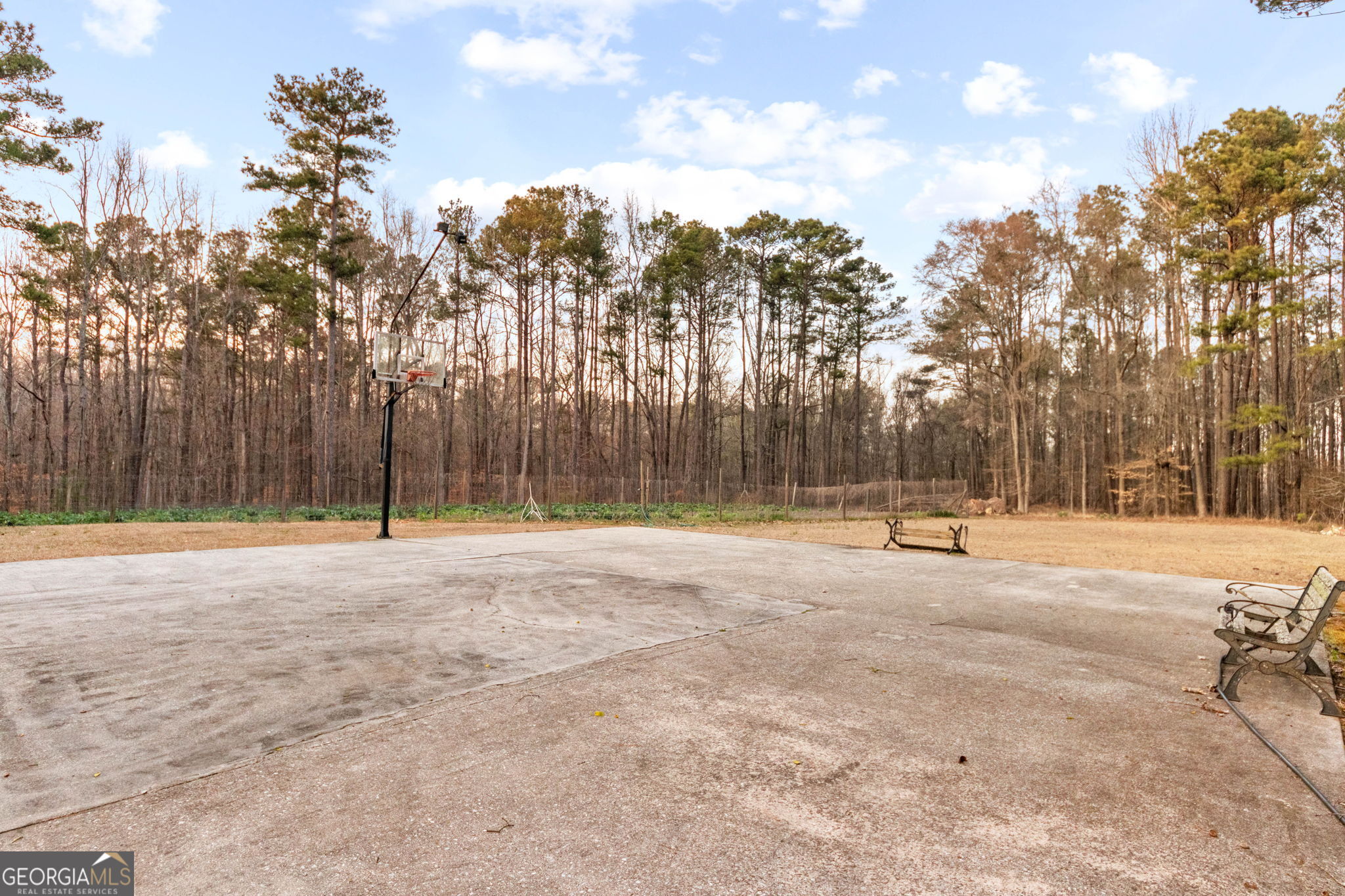 140 Thorne Ridge Trail Fayetteville, GA 30214 - Photo 42 of 44 a view of a yard with trees