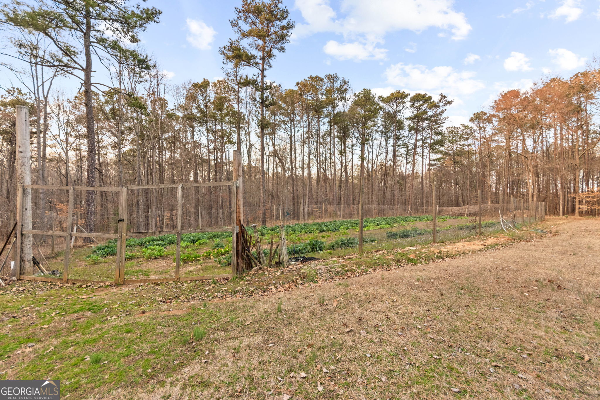 140 Thorne Ridge Trail Fayetteville, GA 30214 - Photo 43 of 44 a view of backyard with green space