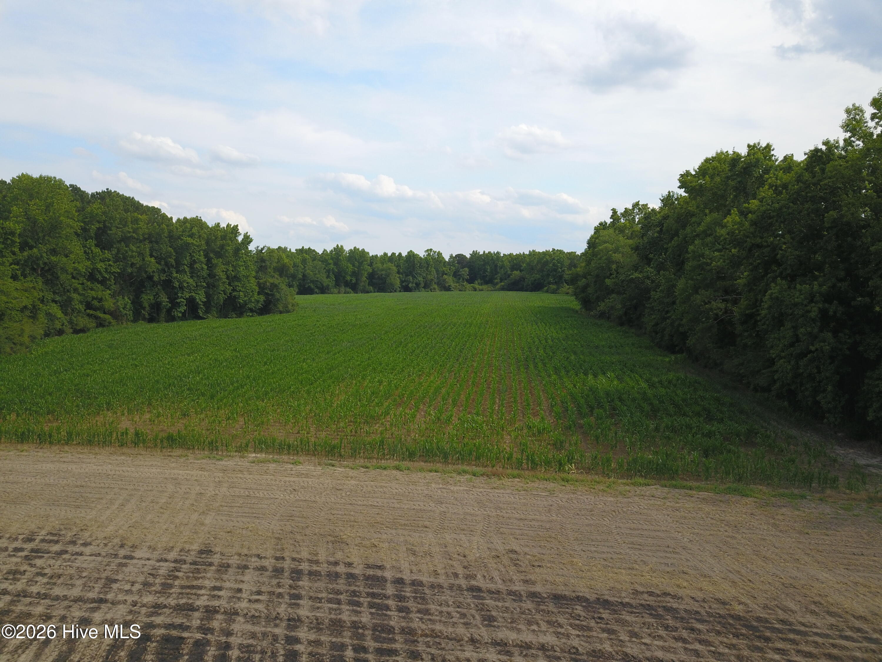 1817 Off S/ Road South Chinquapin, NC 28521 - Photo 2 of 10