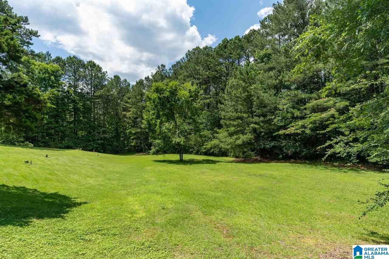 4997 Branchville Road Trussville, AL 35173 - Photo 33 of 39