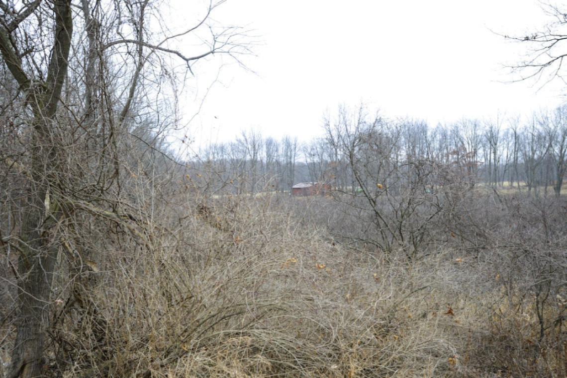 0 Junction Road Marshall, MI 49068 - Photo 20 of 20 Junction Rd Bellevue -38