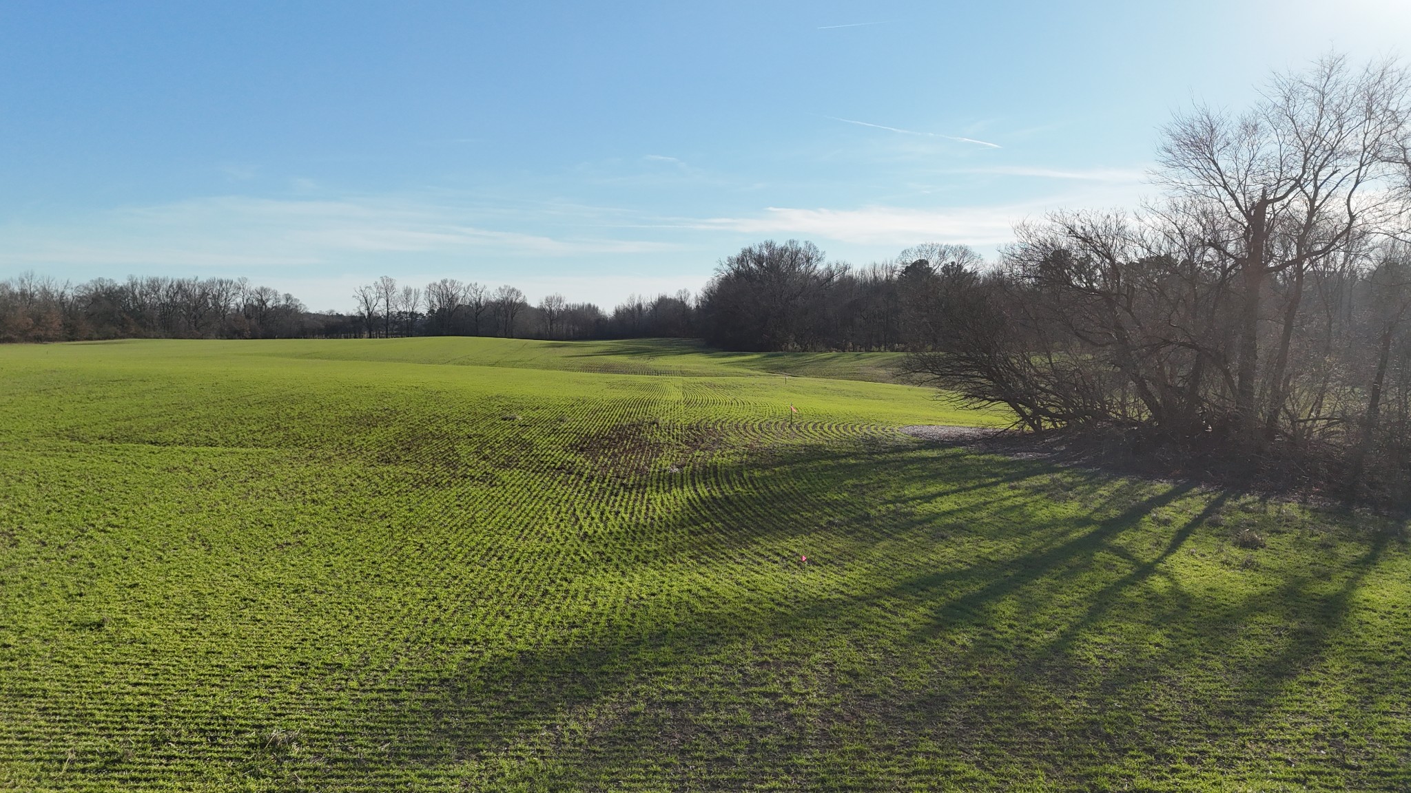 0 Chambers Road Millington, TN 38053 - Photo 6 of 10