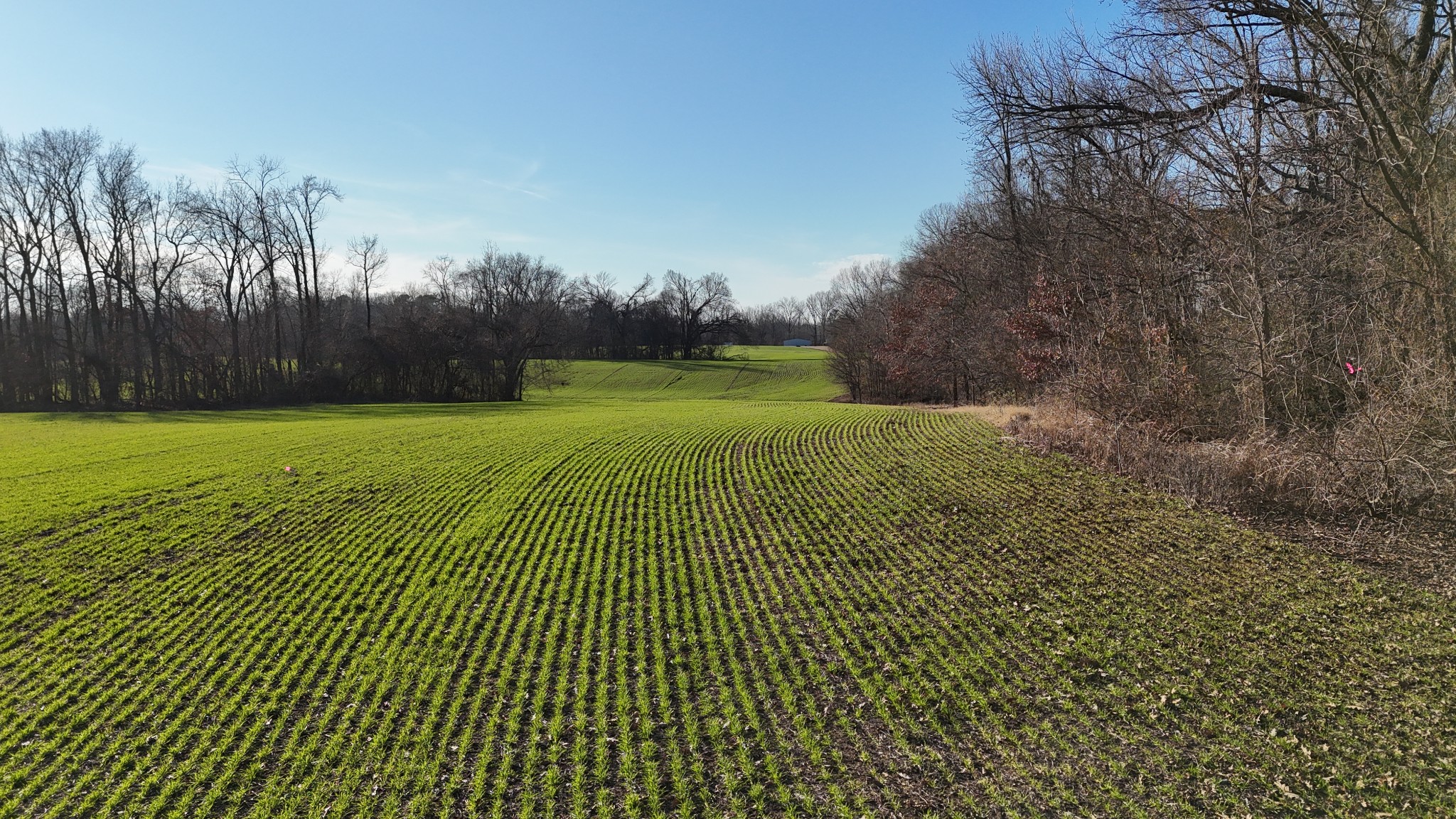 0 Chambers Road Millington, TN 38053 - Photo 7 of 10