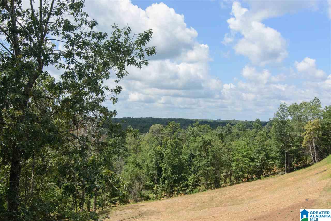 2126 Chelsea Rdg Drive Columbiana, AL 35051 - Photo 37 of 38