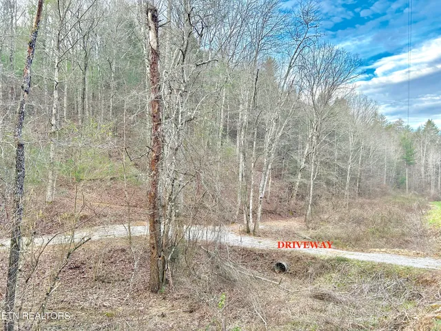 $57,800 | 379 Maple Springs Road, Reliance, TN 37369