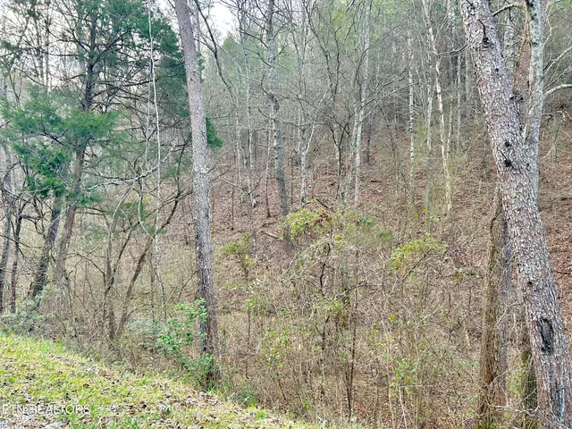 $57,800 | 379 Maple Springs Road, Reliance, TN 37369