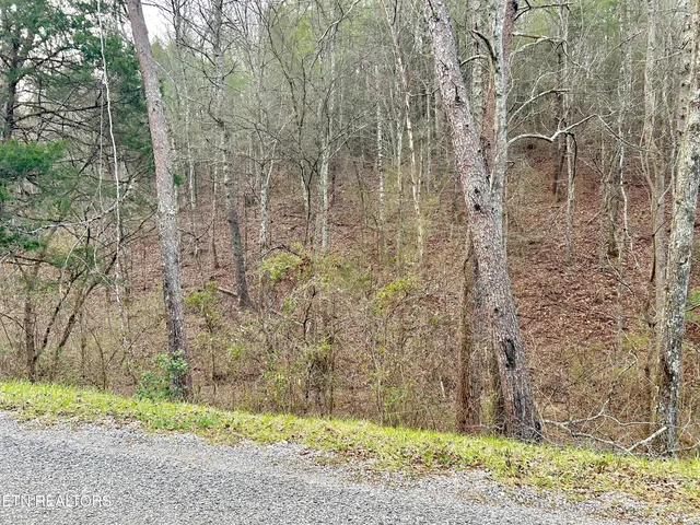 $57,800 | 379 Maple Springs Road, Reliance, TN 37369