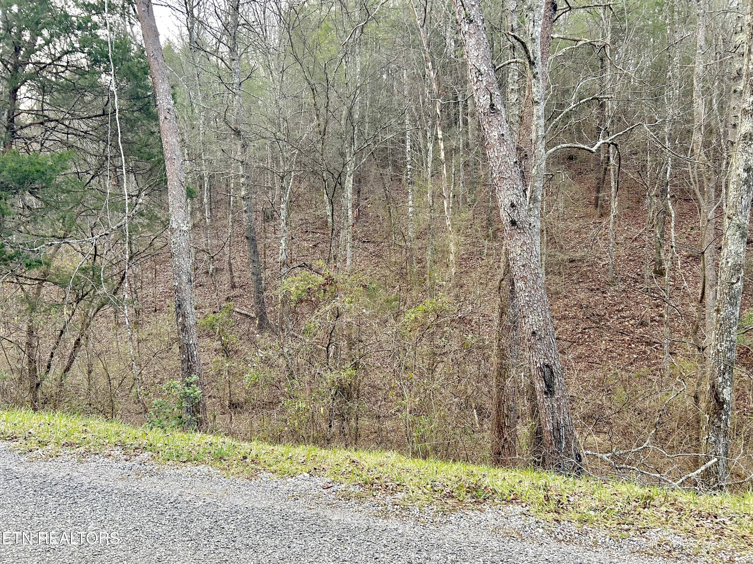 379 Maple Springs Road Reliance, TN 37369 - Photo 4 of 12 fullsizeoutput_1b36