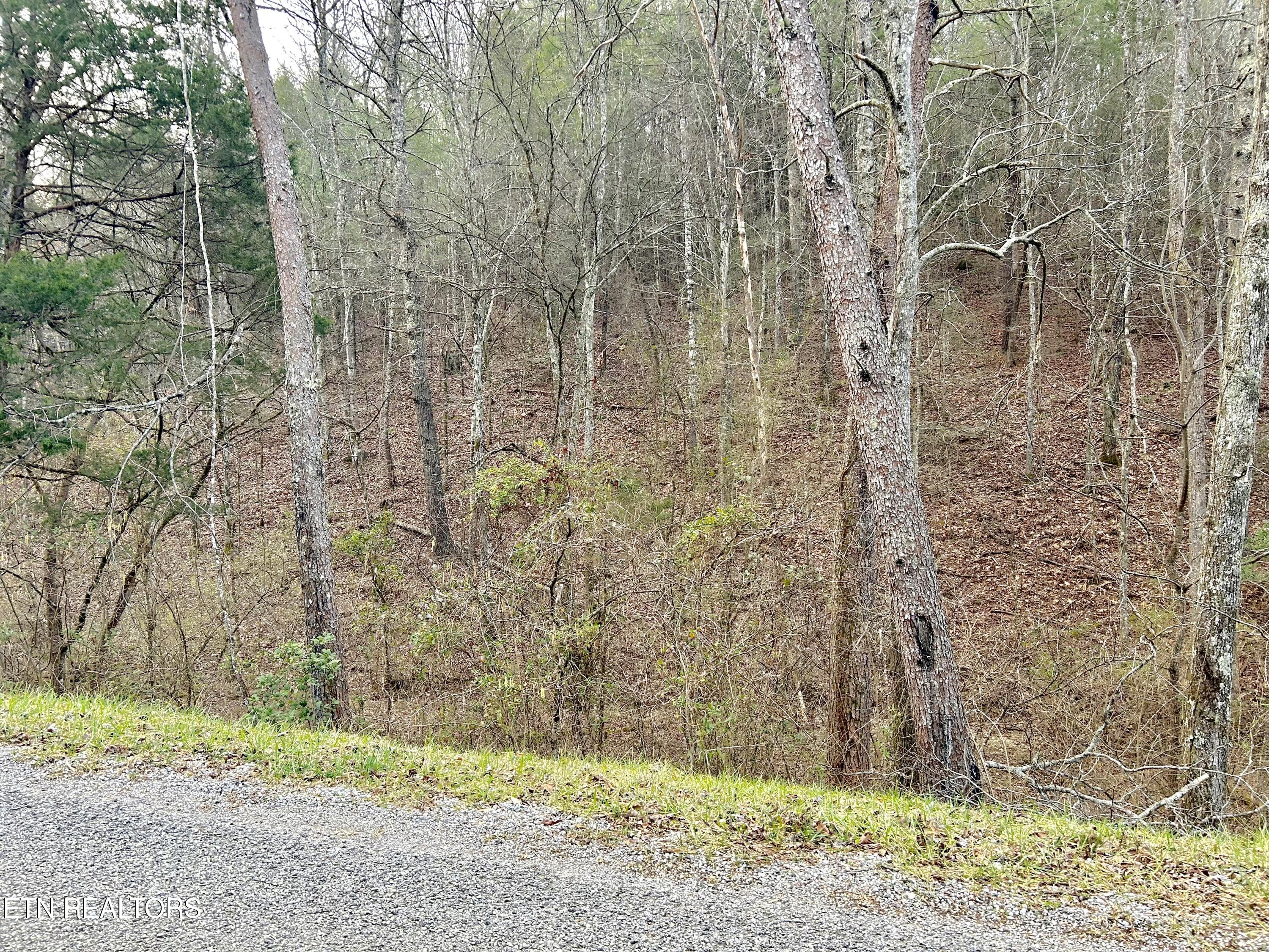 379 Maple Springs Road Reliance, TN 37369 - Photo 5 of 12 fullsizeoutput_1b40