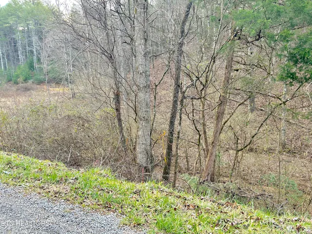 $57,800 | 379 Maple Springs Road, Reliance, TN 37369