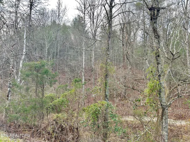 $57,800 | 379 Maple Springs Road, Reliance, TN 37369