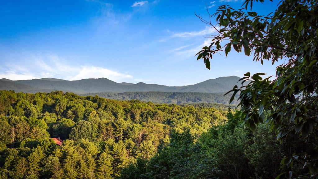 1289 My Mountain Road Morganton, GA 30560 - Photo 6 of 68