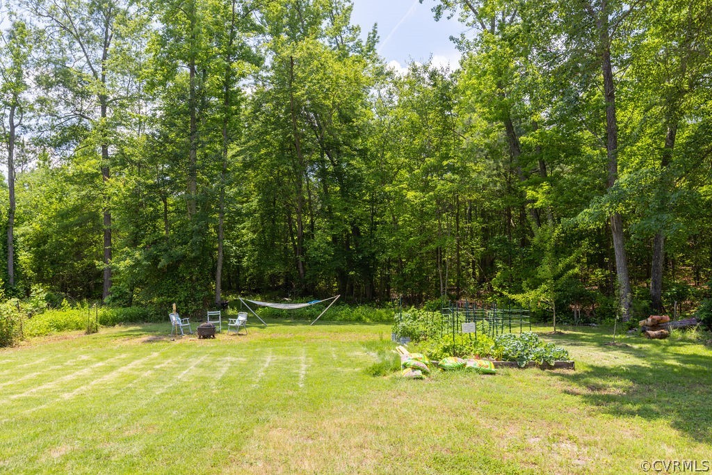 8316 Beaver Bridge Road Moseley, VA 23120 - Photo 18 of 21