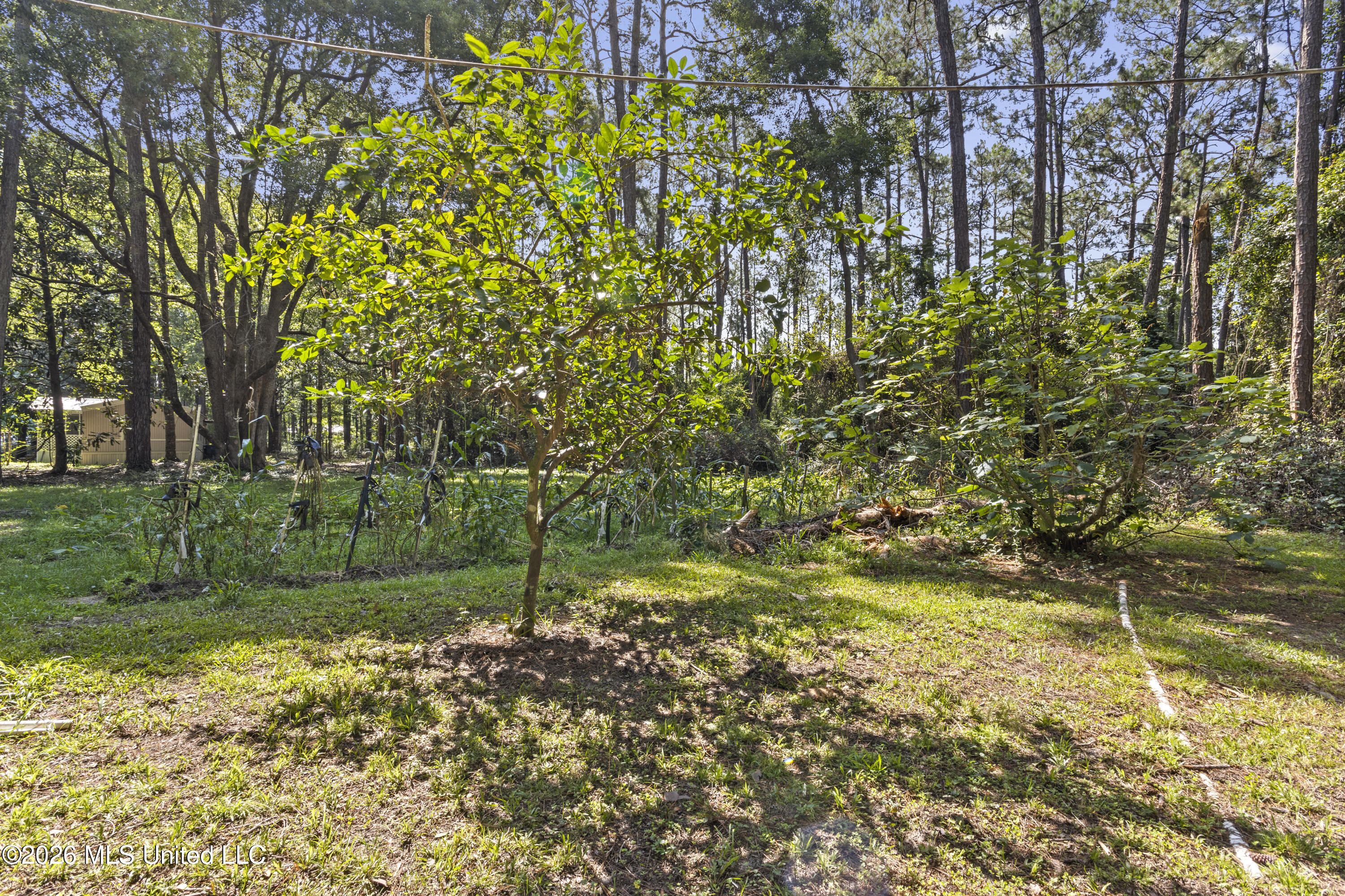 5701 Quave Road Vancleave, MS 39565 - Photo 56 of 67 00048