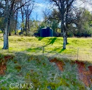 a view of backyard with tree