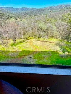 a view of a yard with an ocean