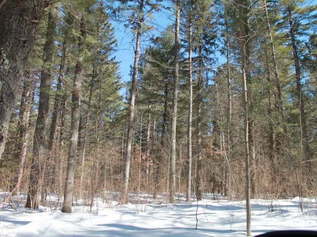 1629 Mattke Road Woodruff, WI 54568 - Photo 27 of 30 Gallery Image 27