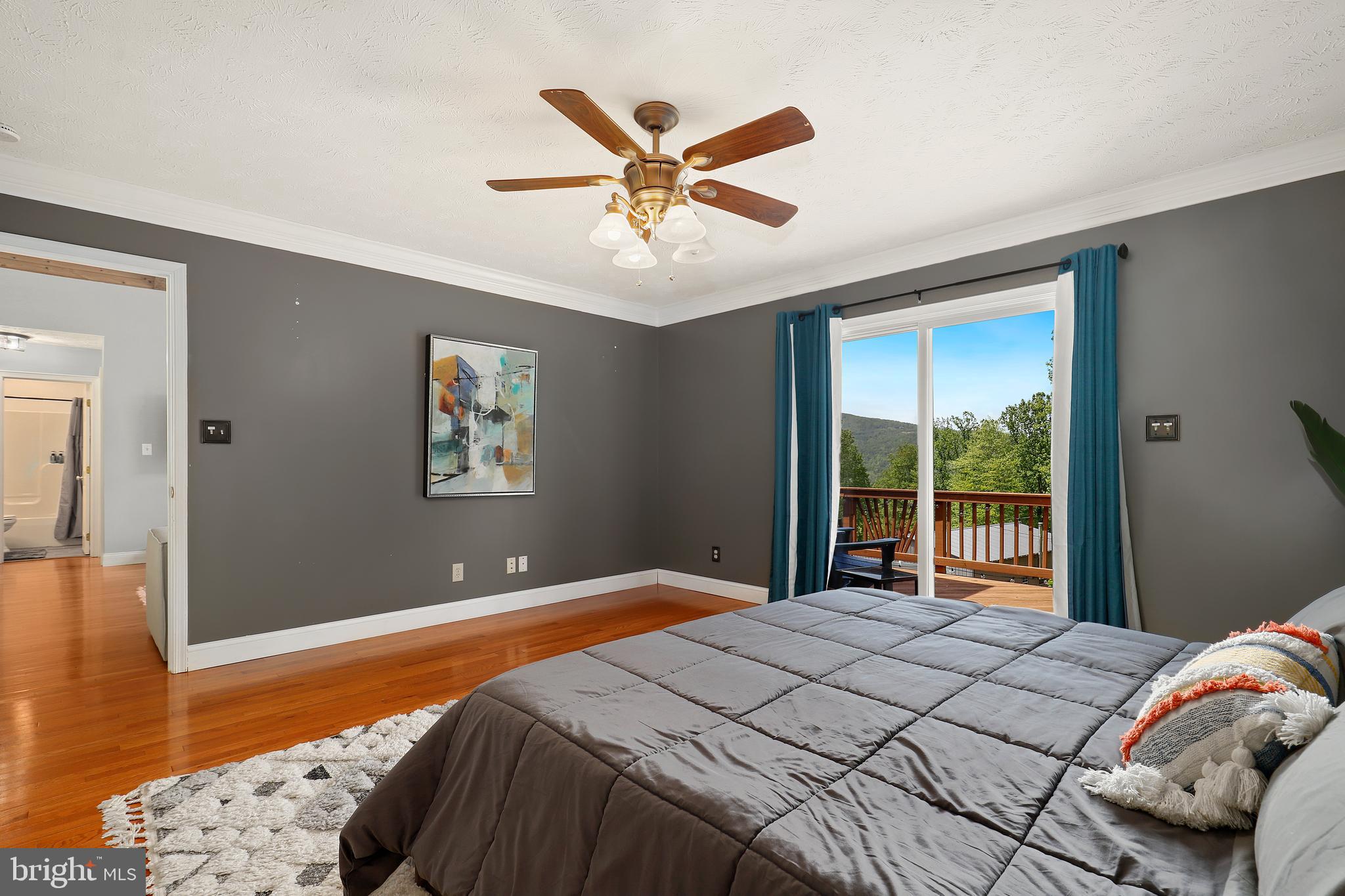 524 Freezeland Road Linden, VA 22642 - Photo 15 of 44 Gallery Image 15
