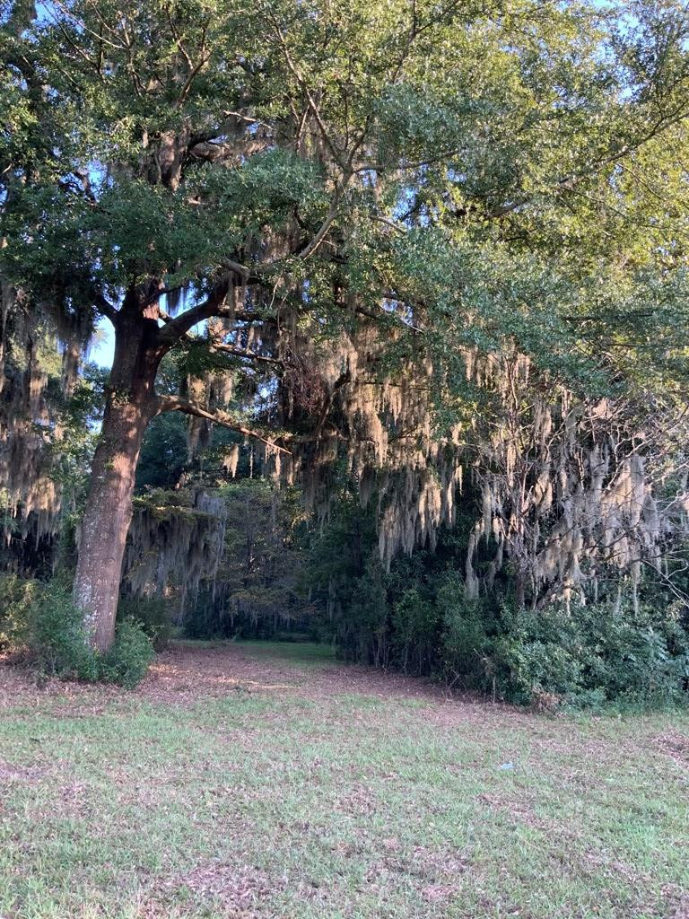 1683 Scott Lake Road, Unit LOT#1 Summerton, SC 29148 - Photo 12 of 12 Gallery Image 12