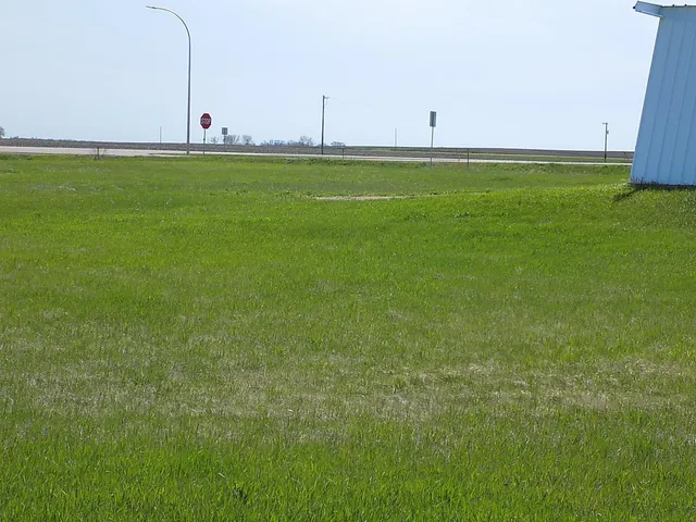 $69,900 | 0 Hwy 15 Hanska Mn 56041, Hanska, MN 56041