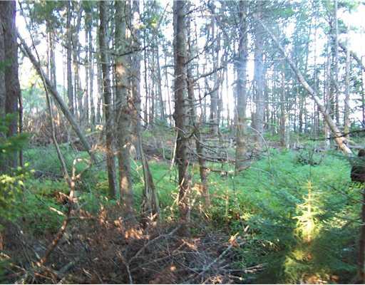 Lot 78 Haskell Point Road Tenants Harbor, ME 04860 - Photo 5 of 10 Other.