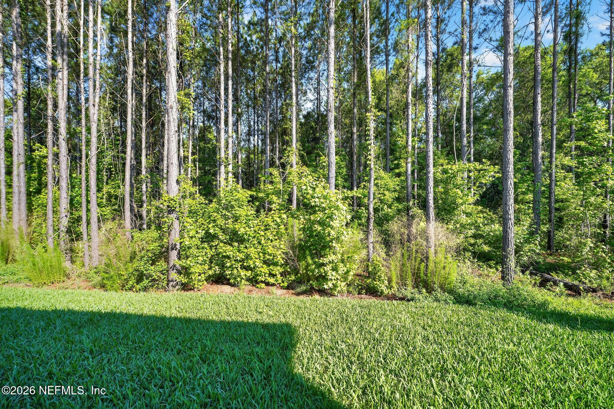 75505 Banyan Way Yulee, FL 32097 - Photo 3 of 30 a view of yard with green space