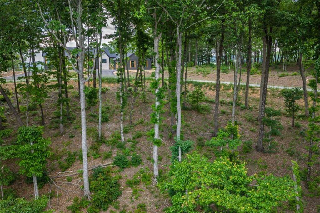 411 Calloway Mountain Road Talking Rock, GA 30175 - Photo 7 of 13 a view of a garden