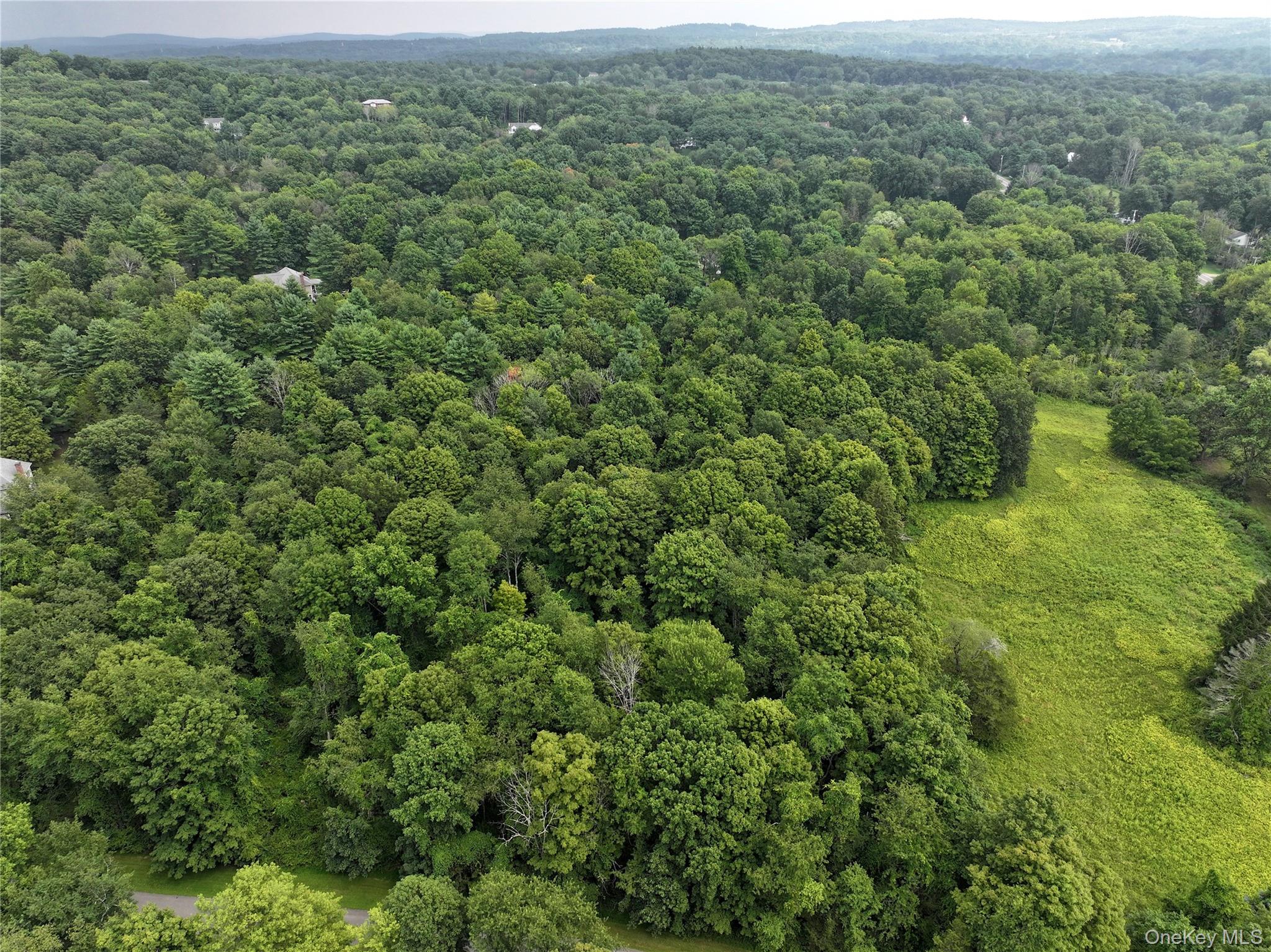 Tbd Deer Run Road Red Hook, NY 12571 - Photo 1 of 1 Aerial view of a forest