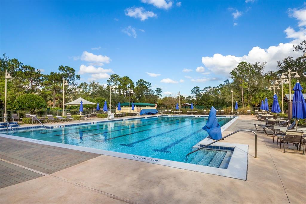 709 Bloom Street, Unit 160 Celebration, FL 34747 - Photo 29 of 35 a view of swimming pool with outdoor seating and plants