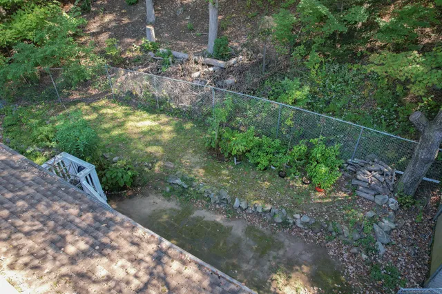 a view of a yard with plants and large trees