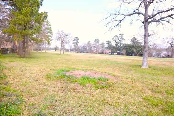 a view of a yard with swimming pool and trees