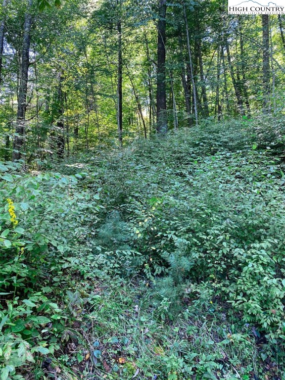 11 Riverwalk Ridge Road Todd, NC 28684 - Photo 11 of 13 Gallery Image 11
