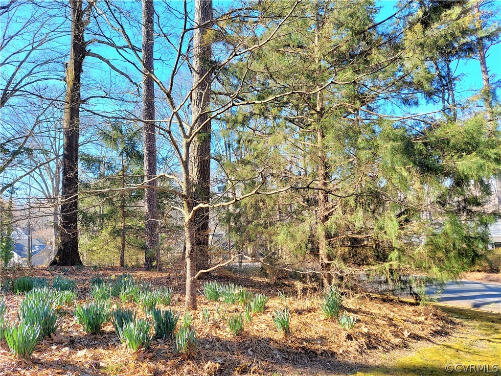 4267 Cheyenne Road Richmond, VA 23235 - Photo 47 of 50 side yard