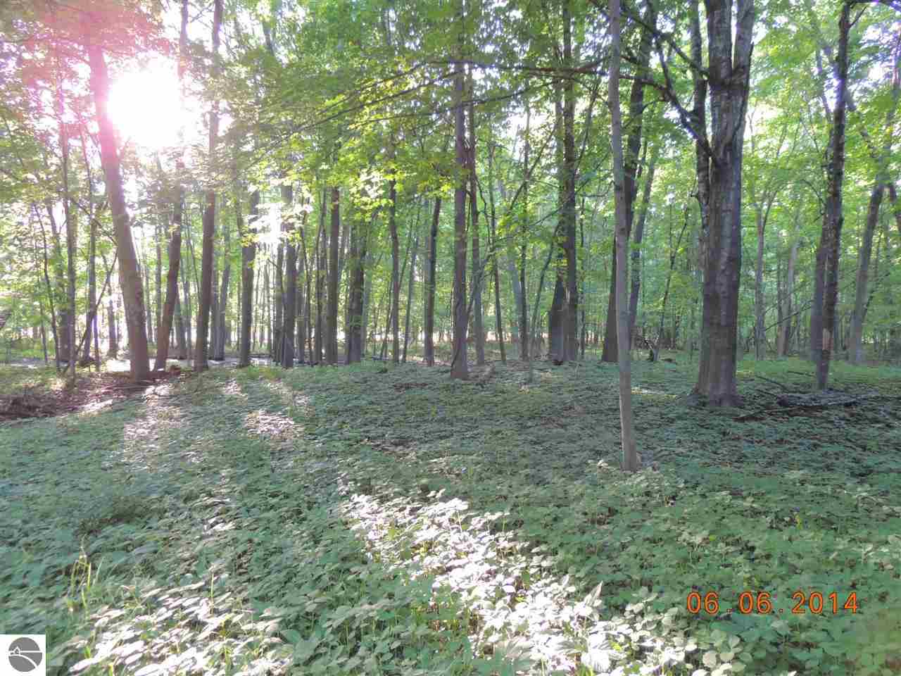 3070 South Warner Road Middleton, MI 48856 - Photo 28 of 36 1785781-27.JPG