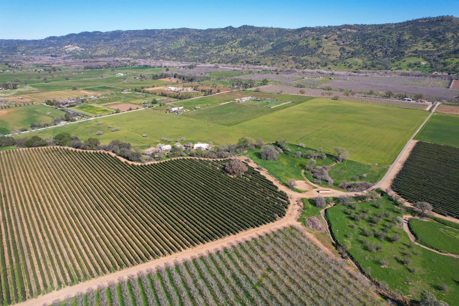 a view of a tennis court with a large tree