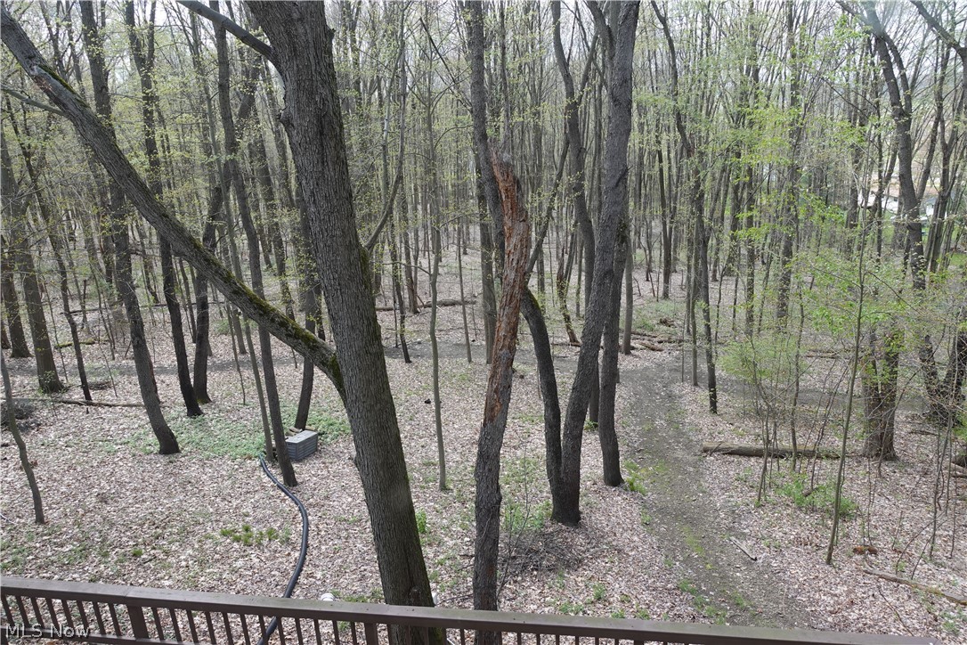 15488 Hatfield Road Rittman, OH 44270 - Photo 34 of 36 View of mother earth's splendor