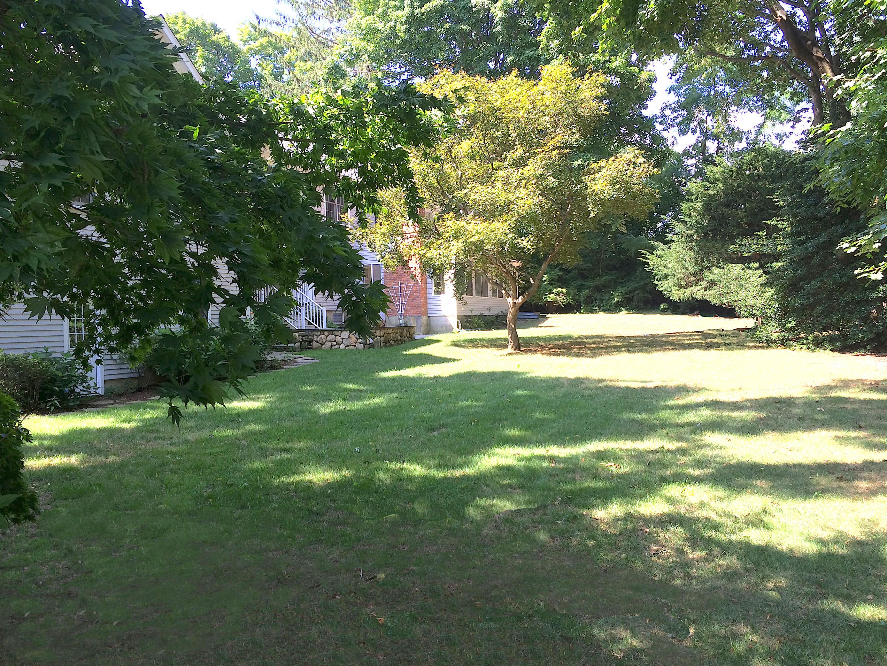 181 Middlesex Road Darien, CT 06820 - Photo 36 of 38 a backyard of a house with a lots of plants and large trees