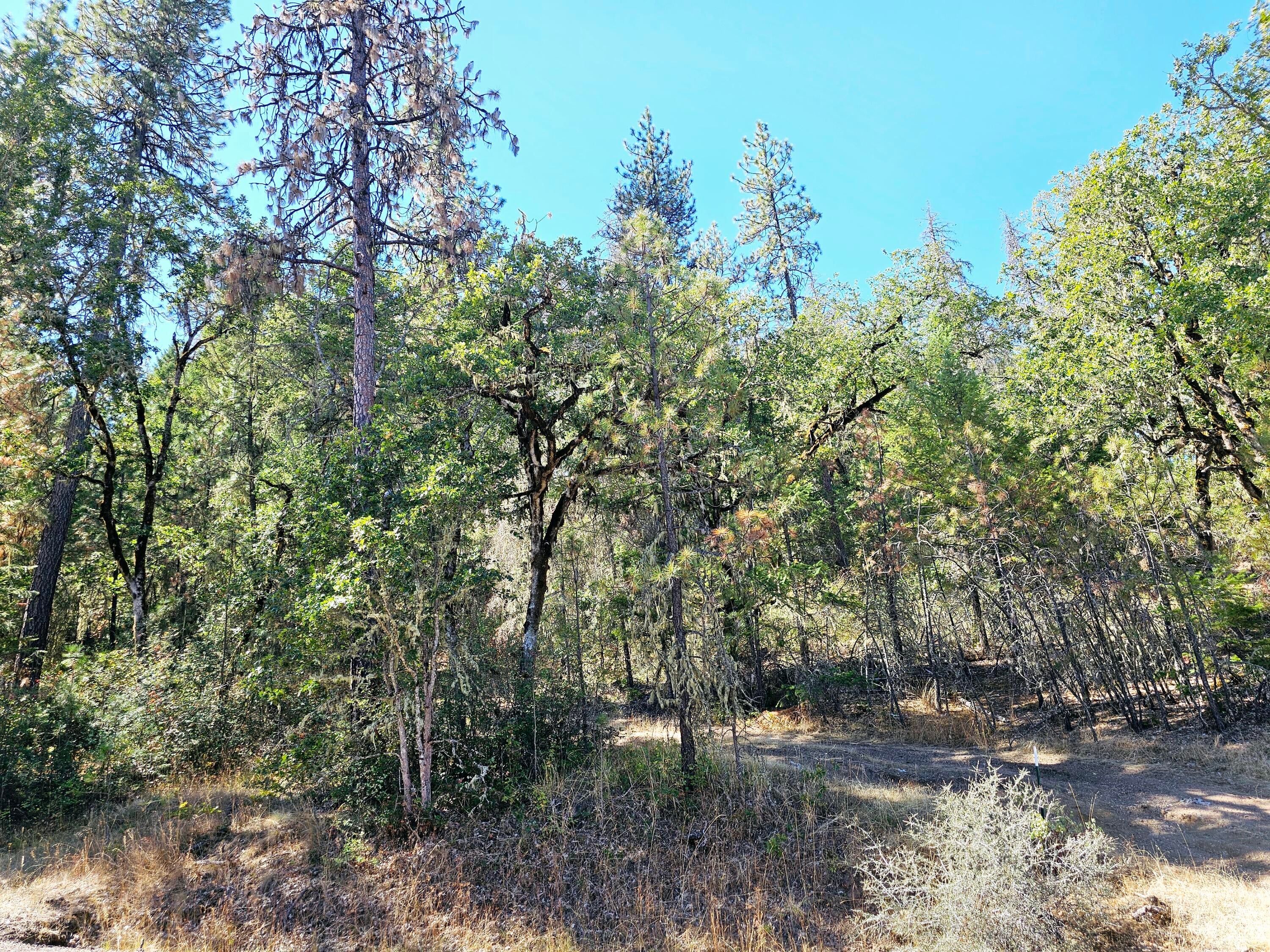 6531 Crowfoot Road Trail, OR 97541 - Photo 17 of 20 20240918_112804