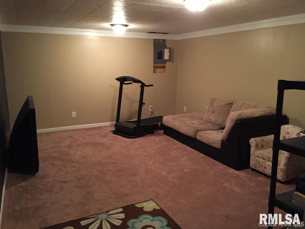 411 South Mill Street Athens, IL 62613 - Photo 10 of 11 Gallery Image 10