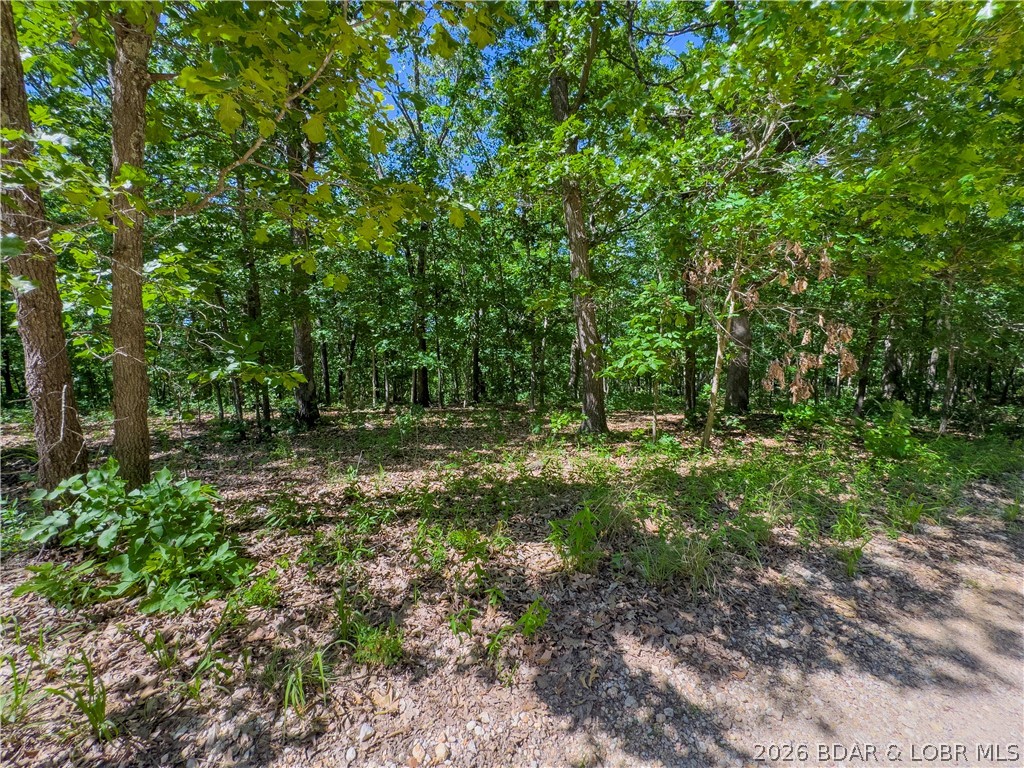 Valley Spring Road Camdenton, MO 65020 - Photo 19 of 19