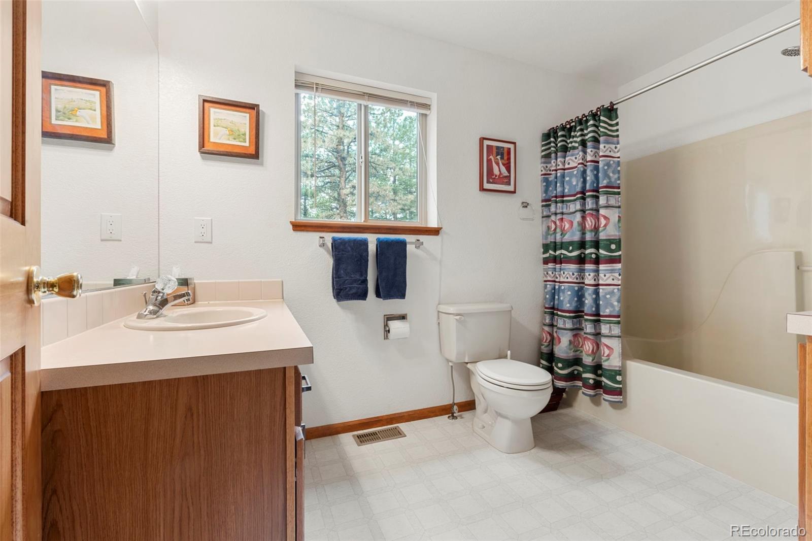 84 Marys Lane Bailey, CO 80421 - Photo 17 of 35 a bathroom with a sink toilet mirror and shower