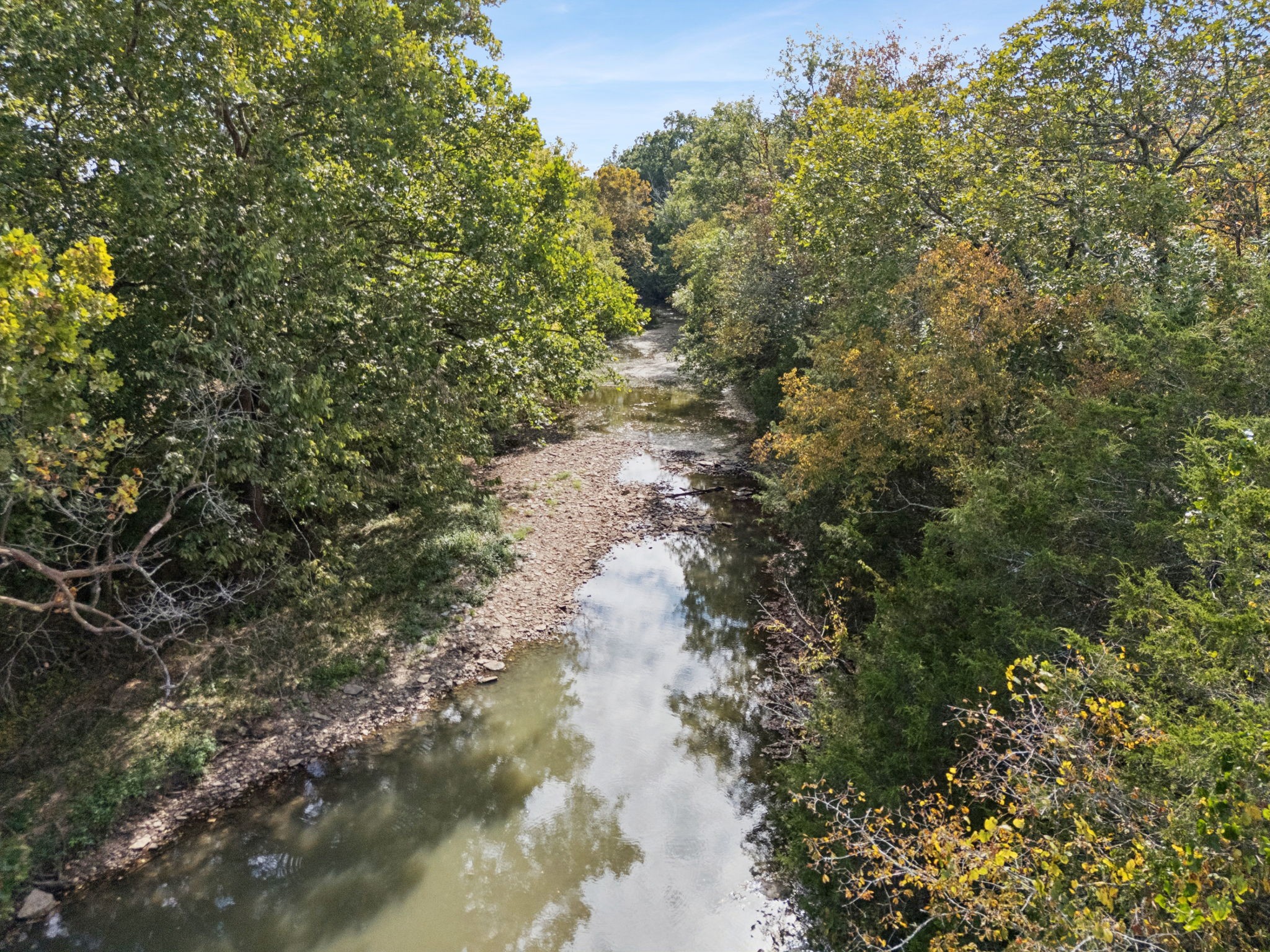 5252 Simmons Bluff Road Lebanon, TN 37090 - Photo 29 of 39 a view of a forest with lots of trees