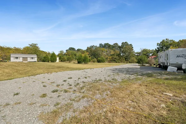 a view of a dry yard with trees