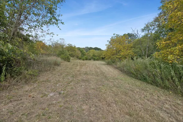 a view of a field with trees in background