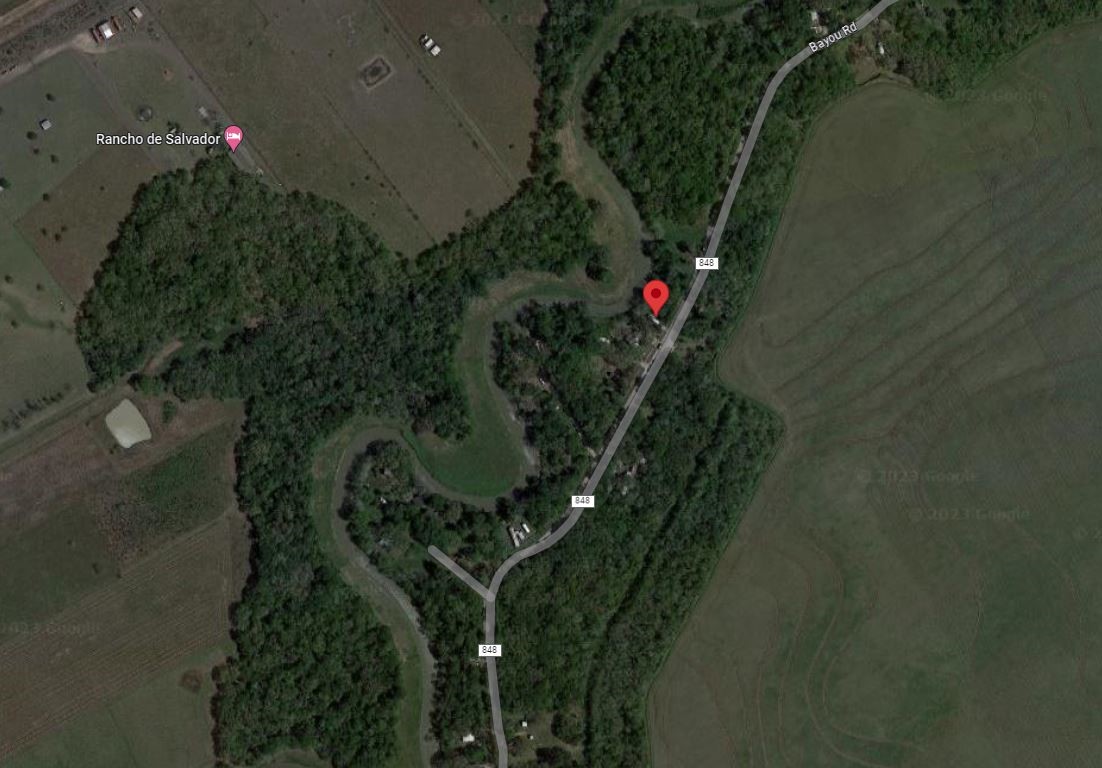 0 Bayou Road Danbury, TX 77534 - Photo 4 of 5 a picture of flowers