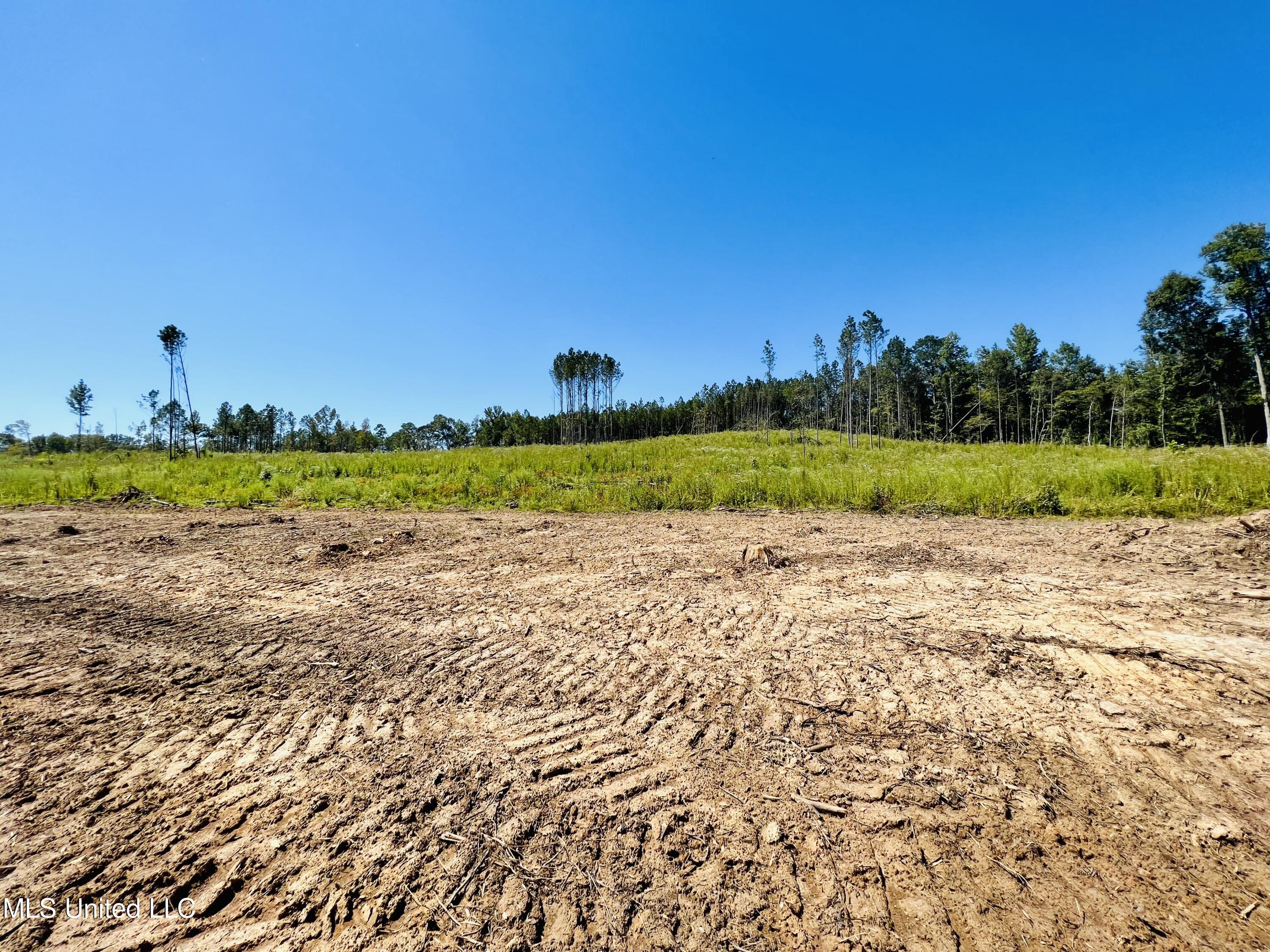 Firetower Road Camden, MS 39045 - Photo 12 of 38 IMG_9302