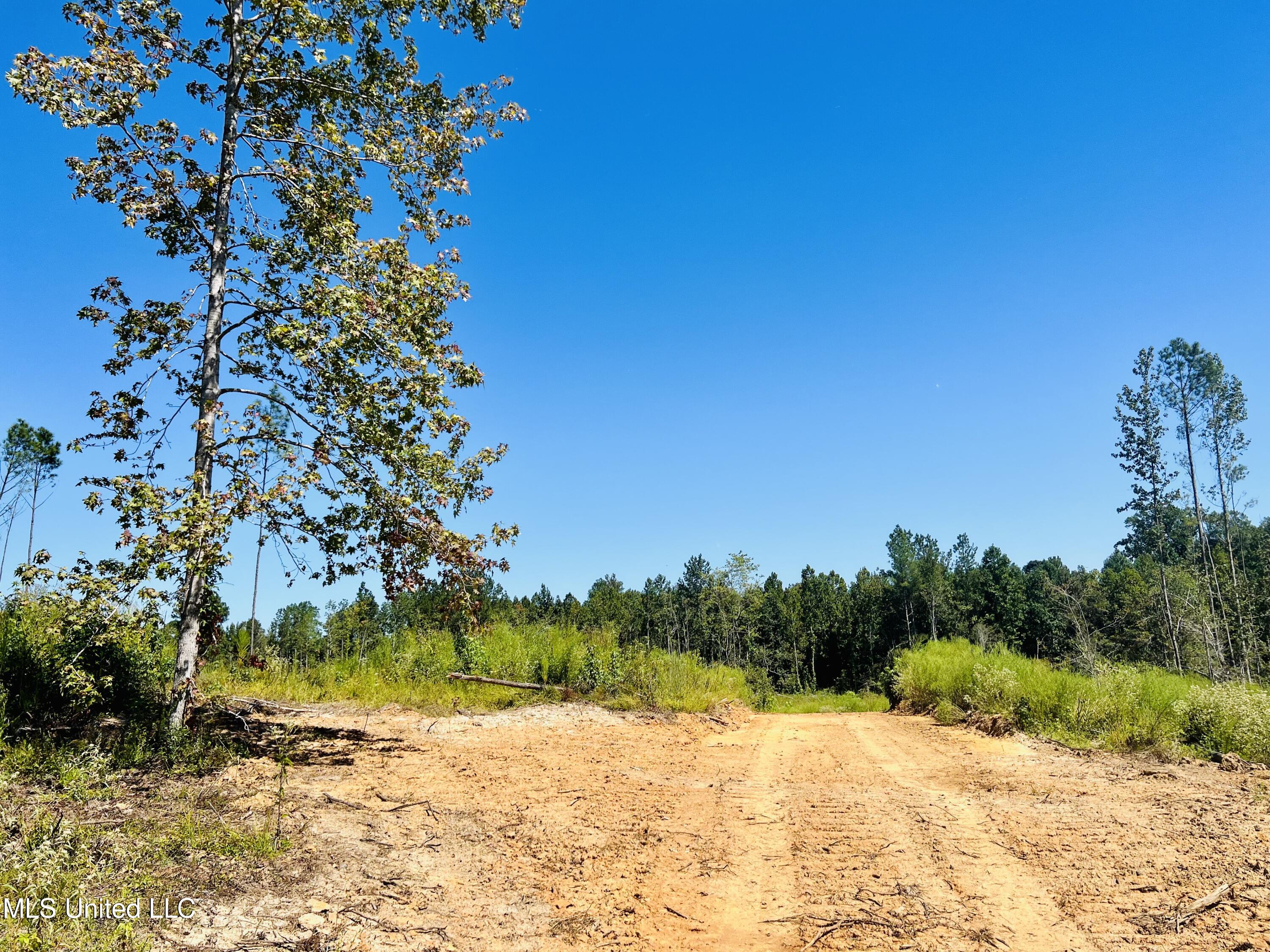 Firetower Road Camden, MS 39045 - Photo 15 of 38 IMG_9288