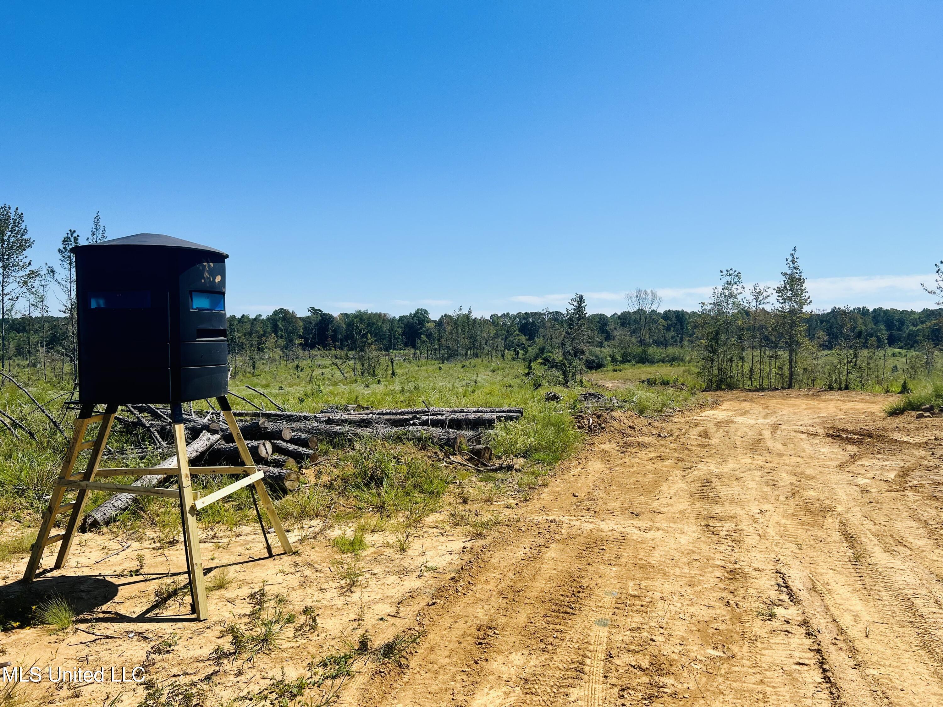 Firetower Road Camden, MS 39045 - Photo 16 of 38 IMG_9240
