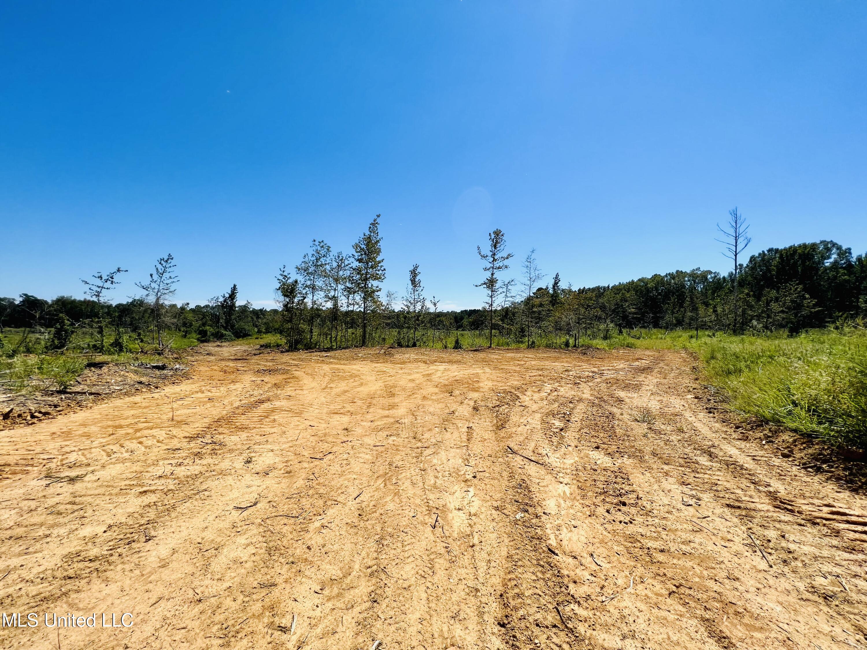 Firetower Road Camden, MS 39045 - Photo 17 of 38 IMG_9258